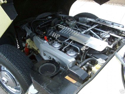 Type E